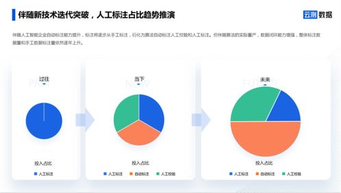 AI數(shù)據(jù)服務(wù) 去偽存真，打通智能駕駛?cè)珗鼍奥涞財?shù)據(jù)閉環(huán)